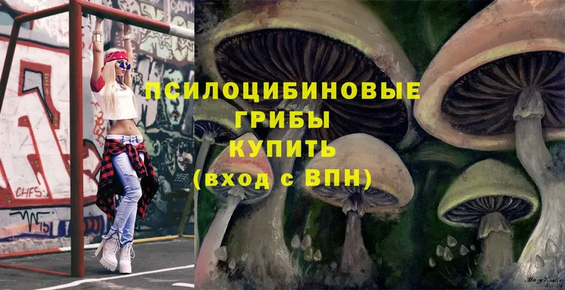 Галлюциногенные грибы Psilocybe  закладки  Бузулук 